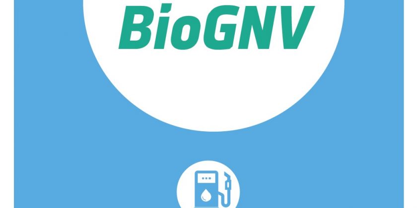Découvrez le panorama bioGNV 2020